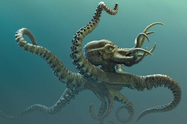 Kraken ссылка krakentor site