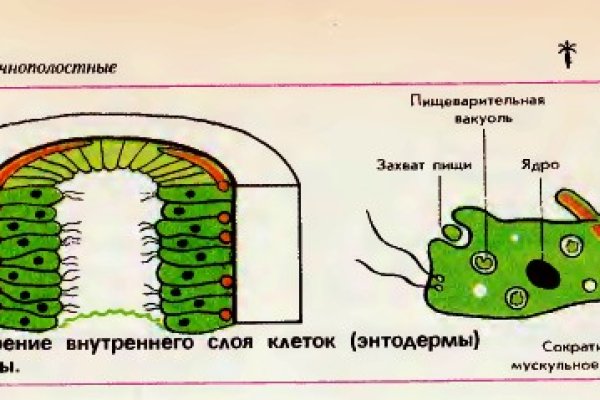 Kraken зеркало store